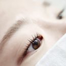 주식회사 메디퍼스트 | [성남/남위례] 어글리앤드브로우(Ugly &amp; Brow) 단백질 가득 속눈썸펌 추천 후기