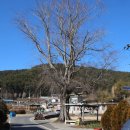 해창2리마을회관 이미지