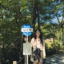 모리 다락방 | [나고야 여행] 10. 꿈에 그리던 지브리 파크(2)