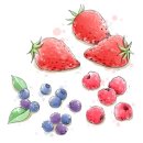 아이러브비타