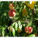 이재권농장 이미지