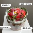 가히케이크