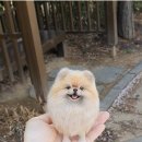 돌공방