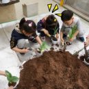 연흥 유치원 이미지