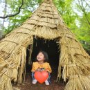 댕댕댕 애견유치원 | 춘천 남이섬 서울 근교 가평 가볼만한곳 남이섬 어린이날 축제행사 남이섬 할인 예매 남이섬 주차 팁