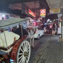 테리GYM | 발리에서 생긴 일(5~11일차)