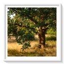 아얄론 | JMS는 왜 이단이라 불릴까?