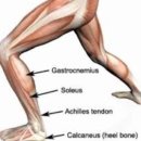 성화태권도 | [정자역 재활PT] 걸을 때 무릎이 안 쪽으로 간다면? 발목 가동성과 경골 외회전 보행 원인 분석(1탄)