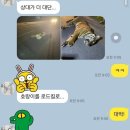 road kill 이미지