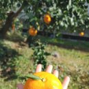 시은농장 이미지