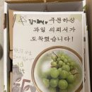 한국농약백화점 | 들판열매 샤인머스켓 후기 _ 산지직송 프리미엄 맛집 찾았어요 아이에게 마음 놓고 주는 신선과일!