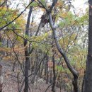 세움어린이집 놀이터 이미지