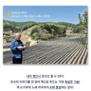 놀다