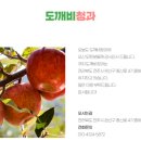 도깨비청과 네이버블로그