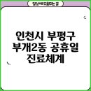부개2동주민센터 | 인천시 부평구 부개2동 공휴일 진료체계