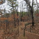 개화산 약사사 삼거리 이미지