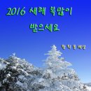 2016 새해 복 많이 받으세요 이미지
