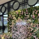 Luce | 명동 LA LUCE 웨딩홀 후기 💒 천장 오픈되는 웨딩홀 추천!