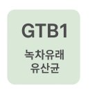 019-1 | 장건강 유산균 추천 TOP4 | GTB1·LGG·HN019·Bl-04 다니스코 유산균 효과 비교
