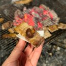 하진이네 | 밥도둑 하진이네 표고버섯장아찌 후기 ｜ 버섯장아찌 하나로 반찬 걱정 끝