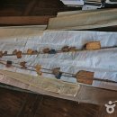 김인섭 단계일기 이미지