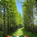 태산목장 이미지