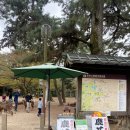 도만경로당 | 나라 당일치기ㅣ오사카 근교 나라 여행, 나라사슴공원, 나카타니도ㅣ오전에 다녀오는 나라 여행코스