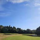 파크골프 | 제주 샤인빌파크 CC 골프라운드 후기 - 역시 원포인트 레슨은 필요했다