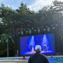 삼팔파크 | [양양]더앤리조트 내돈내산 후기 +근처맛집