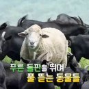 재용농장 이미지