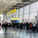 신종 코로나 확진자 나온 블라디보스토크발 대한항공 특별기 이미지