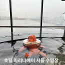 마리나장 | 호텔 마리나베이 서울 수영장 겨울 아기랑 이용후기