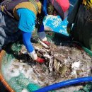 선주네 생선팜 이미지