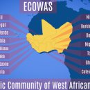 EMERiCs 주간웹진 [2024-26호-아프리카중동] &#39;카타르 국왕, 네덜란드 국빈 방문 이미지