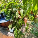 광택농장 이미지