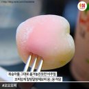 모찌 Daum카페