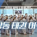 청춘어락 이미지