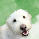 인물화표현하기 | [달달라온 리뷰]수채화그림 초상화 그림액자 추천 - 워터릴리스튜디오로 라온이 인물화 완성!