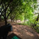 계남공원 이미지