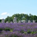 구릉공원 이미지