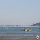 두바퀴로달리는세상 이미지