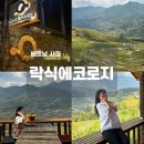 쿤테라스 | 베트남 사파 숙소 락식에코로지 내돈내산 솔직 후기
