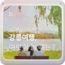 오솔채 | IDK03. [스테이오솔채] 강릉 힐링코스+강릉역 근처 가족독채펜션 추천(풀빌라, 바베큐, 수영장👌)