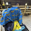 대자연횟집 | [보령] 시스케이프, 청정횟집, 우유창고