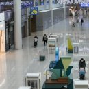 금빛할인마트 이미지