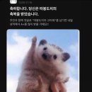 페페무드 네이버블로그