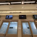 브이아이피 동물의료센터 이미지