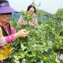 장흥아시아마트