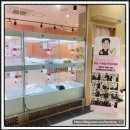 부산 강아지분양 브라비펫 2호점 | 부산강아지분양 고민 끝 믿고 맡기는 브라비펫