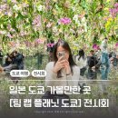 문달식당신 | 도쿄 자유여행 가볼만한 곳 [팀 플래닛 도쿄] | 예약, 입장료, 가는 방법